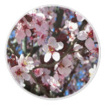 Branch of Pink Blossoms Spring Floral Ceramic Knob