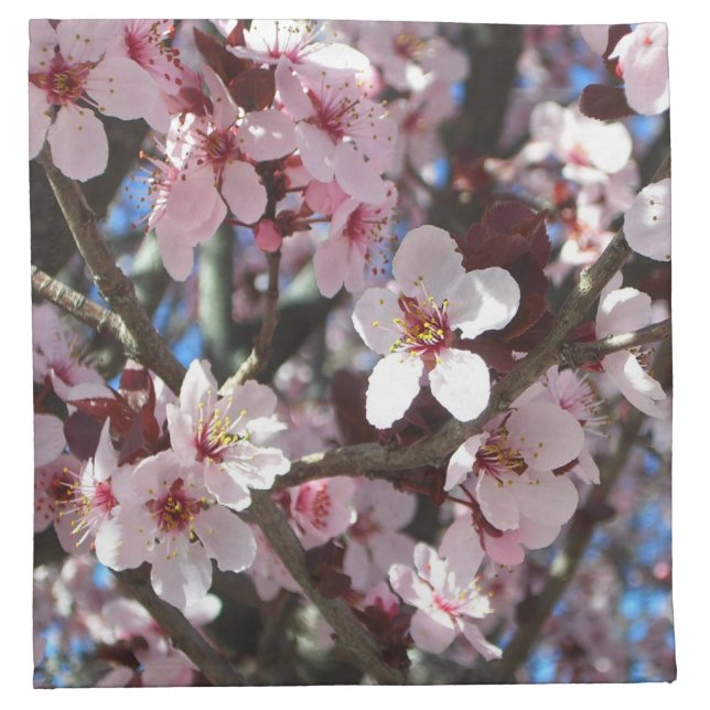 Branch of Pink Blossoms Spring Floral Cloth Napkin (Front)
