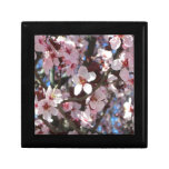 Branch of Pink Blossoms Spring Floral Gift Box