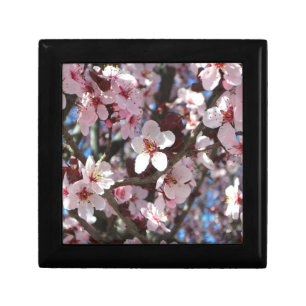 Branch of Pink Blossoms Spring Floral Gift Box