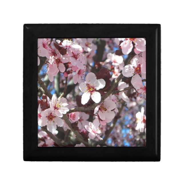 Branch of Pink Blossoms Spring Floral Gift Box (Front)