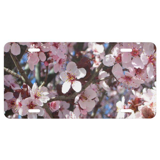 Branch of Pink Blossoms Spring Floral License Plate (Front)