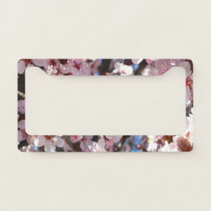 Branch of Pink Blossoms Spring Floral License Plate Frame