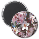Branch of Pink Blossoms Spring Floral Magnet