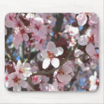Branch of Pink Blossoms Spring Floral Mouse Pad