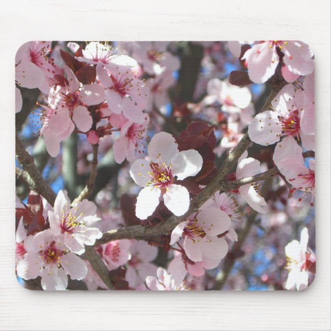 Branch of Pink Blossoms Spring Floral Mouse Pad (Front)