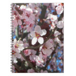 Branch of Pink Blossoms Spring Floral Notebook