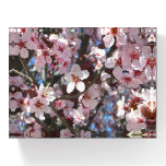 Branch of Pink Blossoms Spring Floral Paperweight