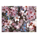 Branch of Pink Blossoms Spring Floral Photo Print
