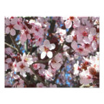 Branch of Pink Blossoms Spring Floral Photo Print