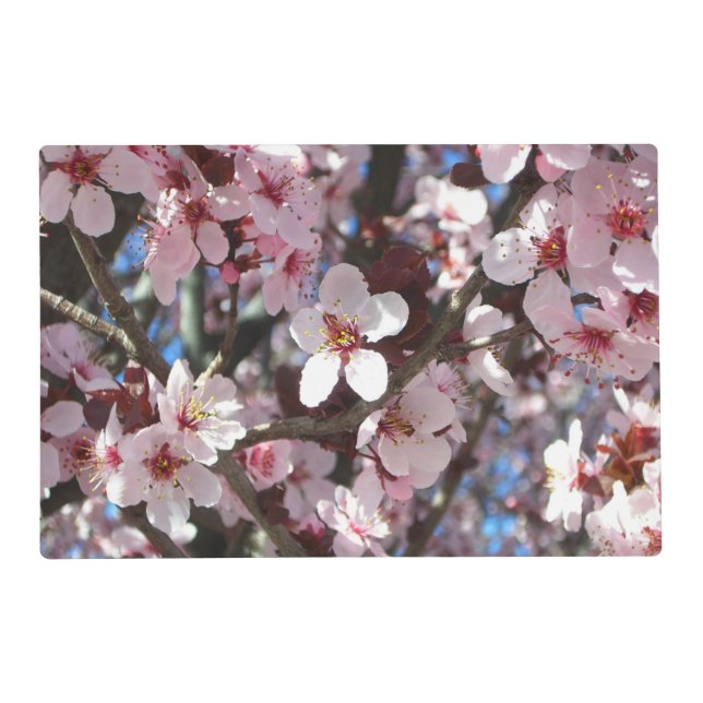 Branch of Pink Blossoms Spring Floral Placemat (Front)