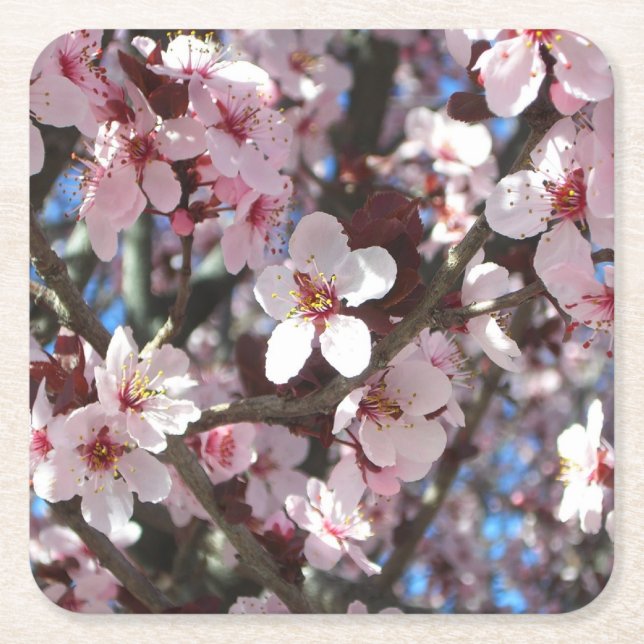 Branch of Pink Blossoms Spring Floral Square Paper Coaster (Front)
