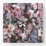 Branch of Pink Blossoms Spring Floral Square Wall Clock