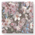 Branch of Pink Blossoms Spring Floral Stone Coaster