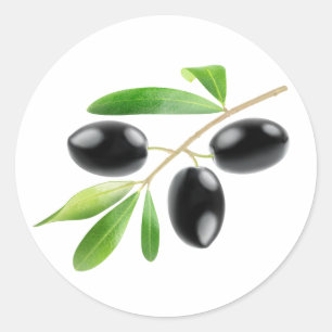 Branch with black olives classic round sticker
