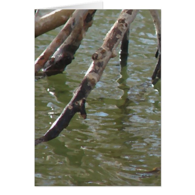 Branches All Occasions Greeting Card  (Front)