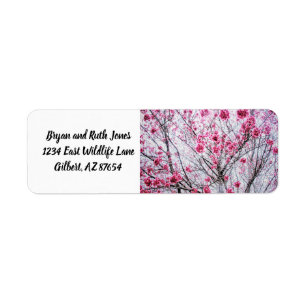 Branches and Blooms of a Cherry Tree Label