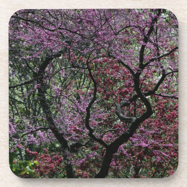 Branches and Blossoms Beverage Coaster (Front)