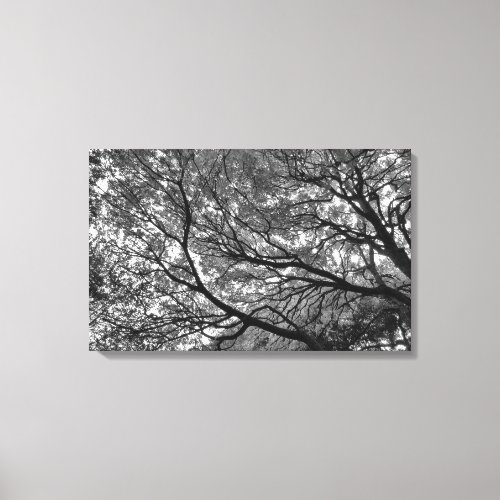 Branches and Leaves Canvas Print