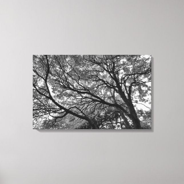 Branches and Leaves II Canvas Print (Front)