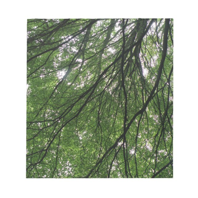 Branches and Leaves Notepad (Front)