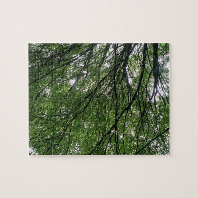 Branches and Leaves Puzzle (Horizontal)
