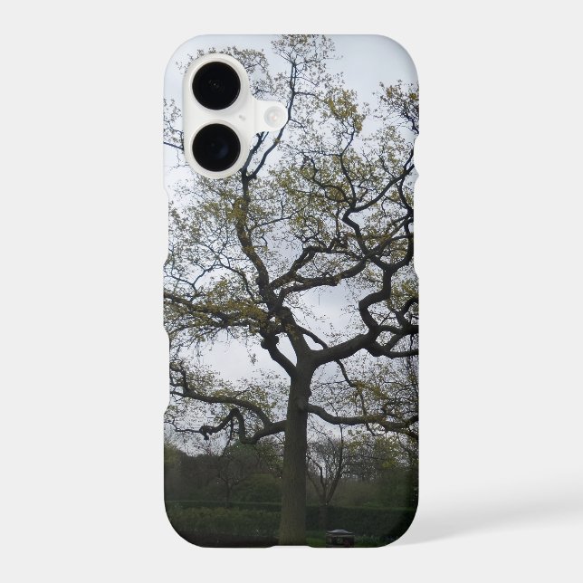 Branches Apple iPhone X, Barely There PhoneCase Case (Back)
