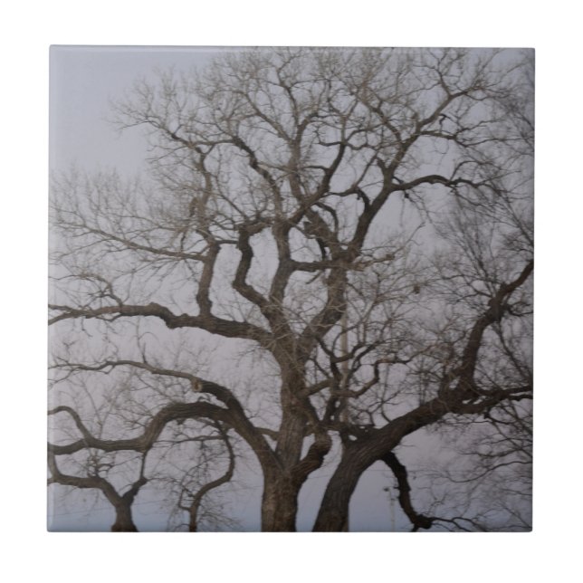 branches ceramic tile (Front)