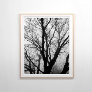 Branches in the Fog Photography Poster