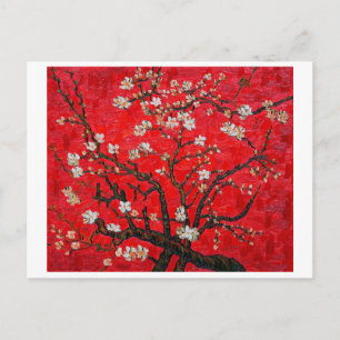 Branches of Almond Tree in Blossom, Van Gogh Postcard
