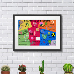 Branches of biology framed art