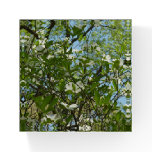 Branches of Dogwood Blossoms Paperweight