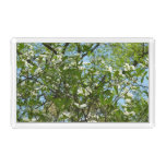 Branches of Dogwood Blossoms Spring Trees Acrylic Tray