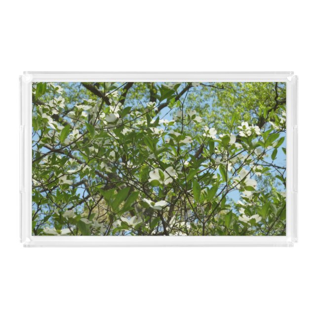 Branches of Dogwood Blossoms Spring Trees Acrylic Tray (Front)