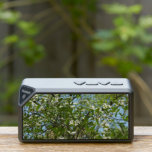 Branches of Dogwood Blossoms Spring Trees Bluetooth Speaker