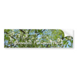 Branches of Dogwood Blossoms Spring Trees Bumper Sticker