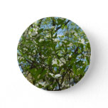 Branches of Dogwood Blossoms Spring Trees Button