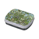 Branches of Dogwood Blossoms Spring Trees Candy Tin