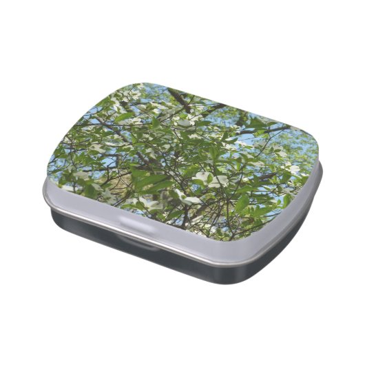 Branches of Dogwood Blossoms Spring Trees Candy Tin (Side)