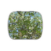 Branches of Dogwood Blossoms Spring Trees Candy Tin (Top)