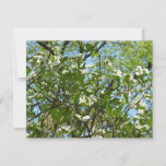 Branches of Dogwood Blossoms Spring Trees Card