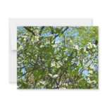 Branches of Dogwood Blossoms Spring Trees Card