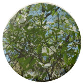 Branches of Dogwood Blossoms Spring Trees Chocolate Covered Oreo (Front)