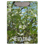 Branches of Dogwood Blossoms Spring Trees Clipboard