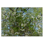 Branches of Dogwood Blossoms Spring Trees Cutting Board