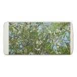 Branches of Dogwood Blossoms Spring Trees Eraser