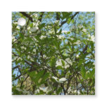 Branches of Dogwood Blossoms Spring Trees Favor Tags