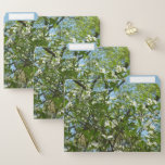Branches of Dogwood Blossoms Spring Trees File Folder