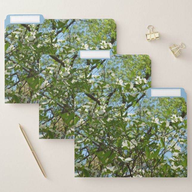 Branches of Dogwood Blossoms Spring Trees File Folder (Set)