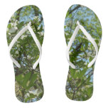 Branches of Dogwood Blossoms Spring Trees Flip Flops